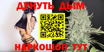 гидра Будённовск