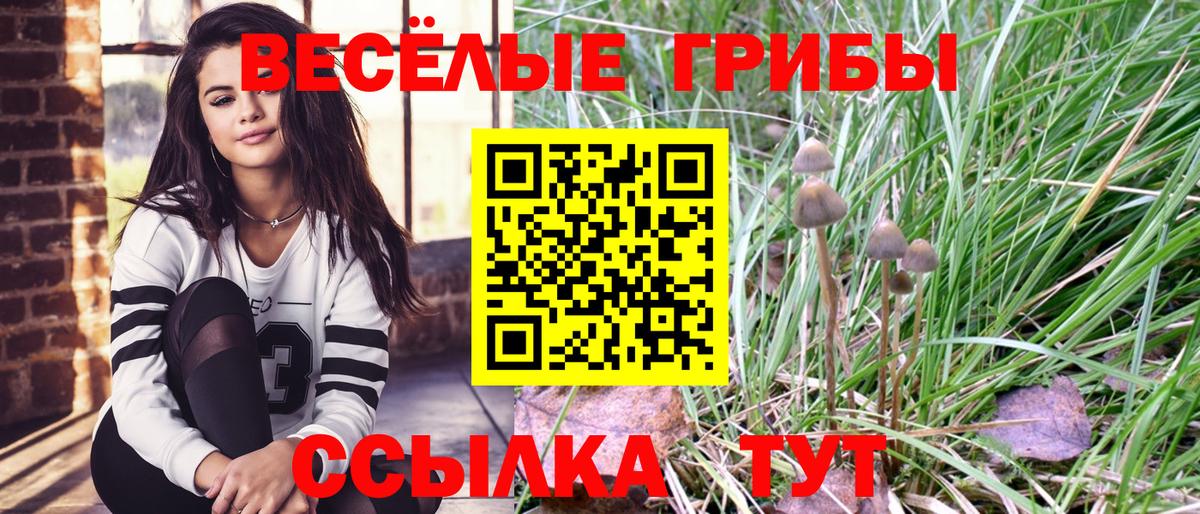 Псилоцибиновые грибы Cubensis Ливны