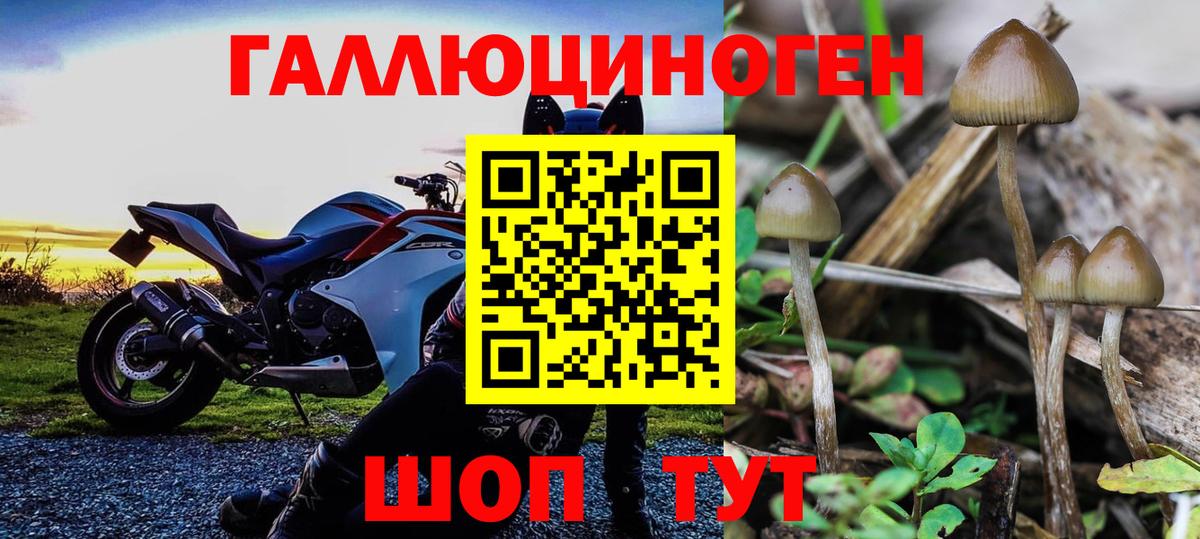 Галлюциногенные грибы MAGIC MUSHROOMS  Вход с VPN  Псилоцибиновые грибы GOLDEN TEACHER  Ливны 